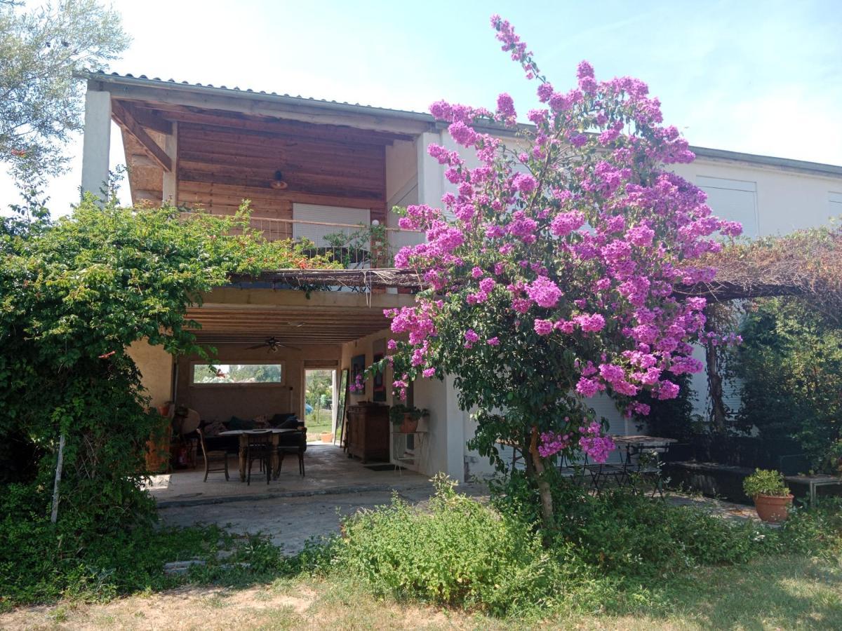 Domaine Limouzy Βίλα Ναρμπόν Εξωτερικό φωτογραφία