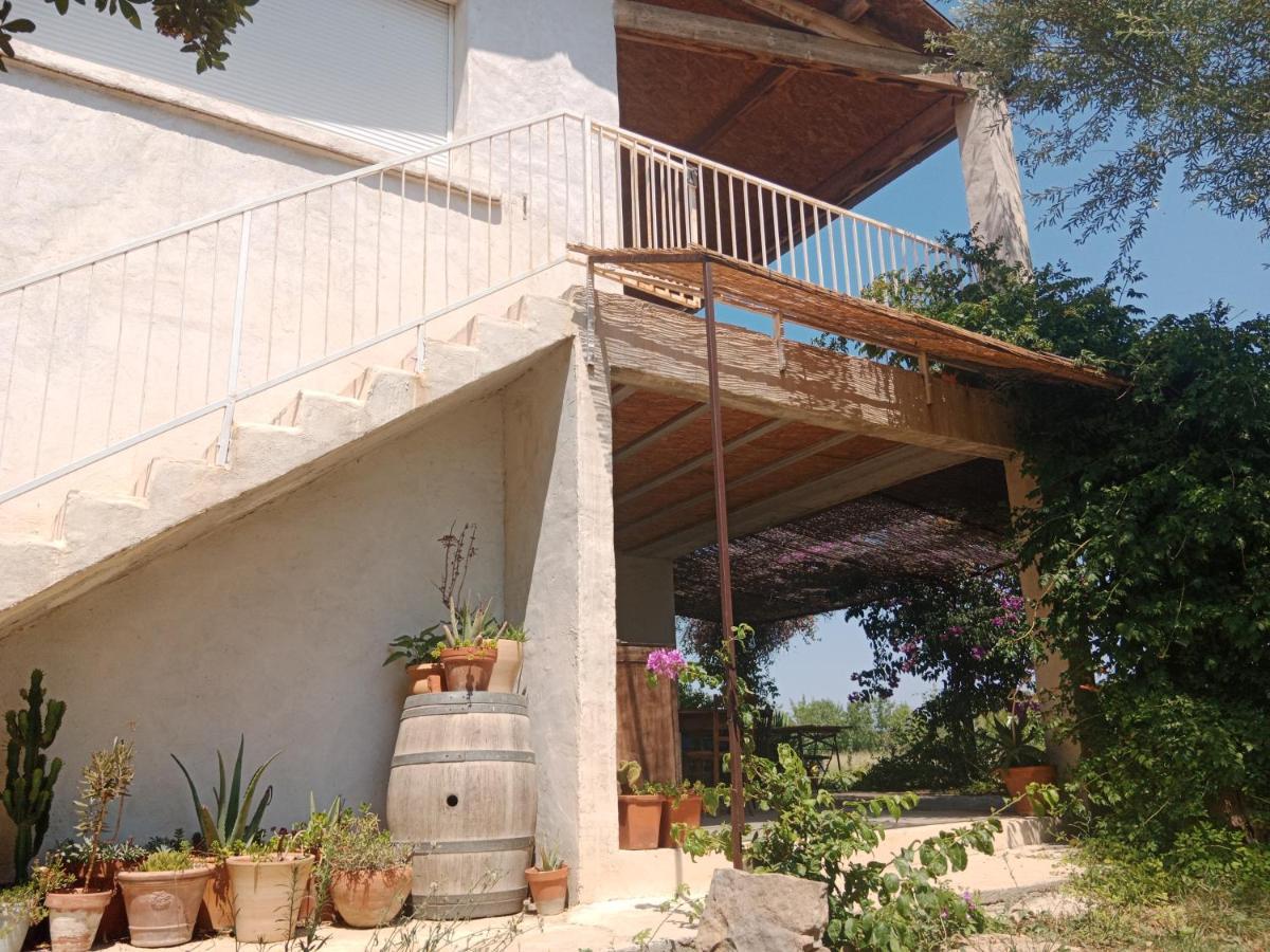 Domaine Limouzy Βίλα Ναρμπόν Εξωτερικό φωτογραφία