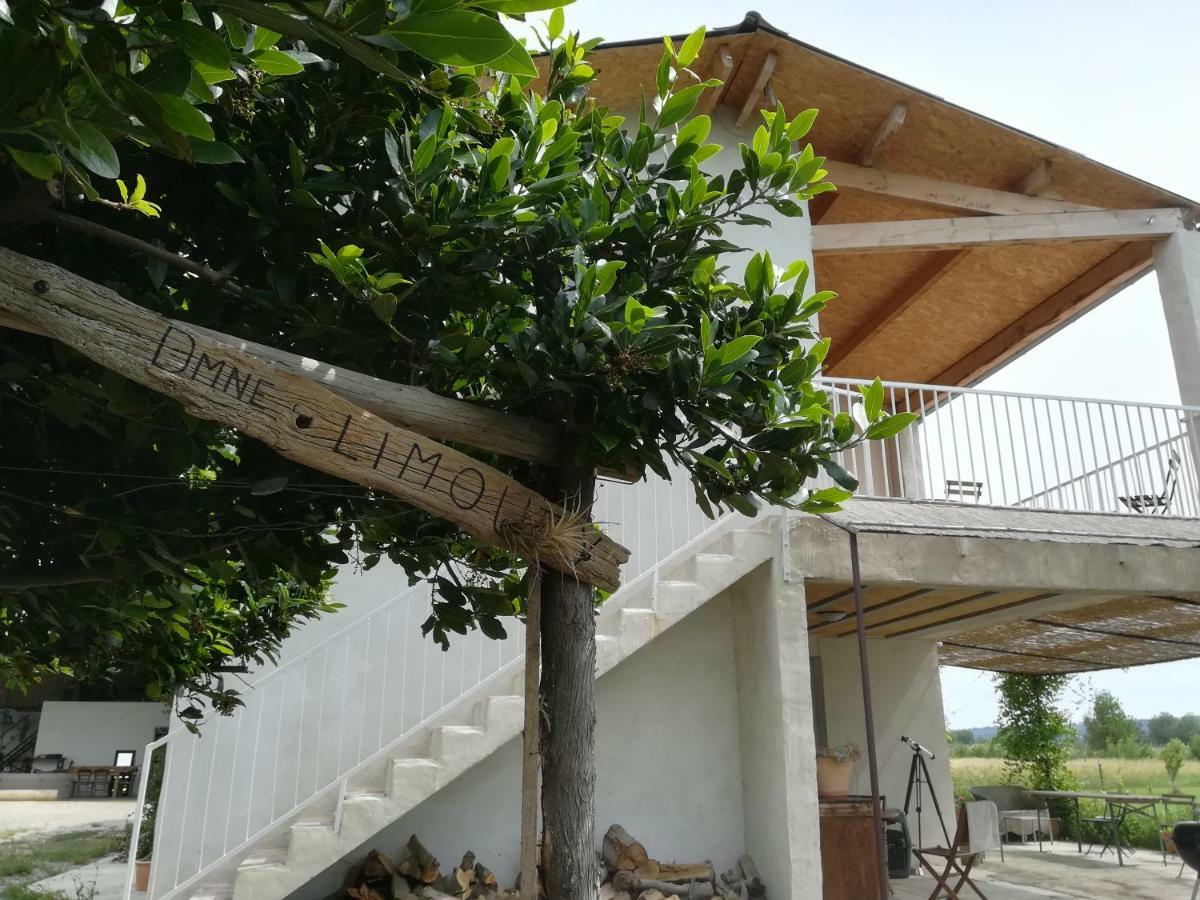 Domaine Limouzy Βίλα Ναρμπόν Εξωτερικό φωτογραφία