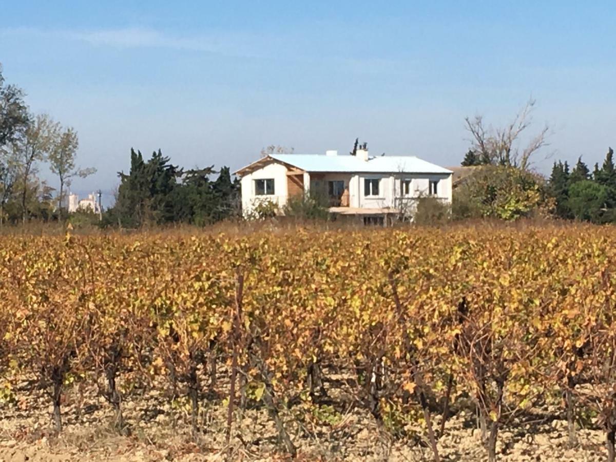 Domaine Limouzy Βίλα Ναρμπόν Εξωτερικό φωτογραφία